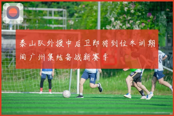 泰山队外援中后卫即将到位冬训期间广州集结备战新赛季